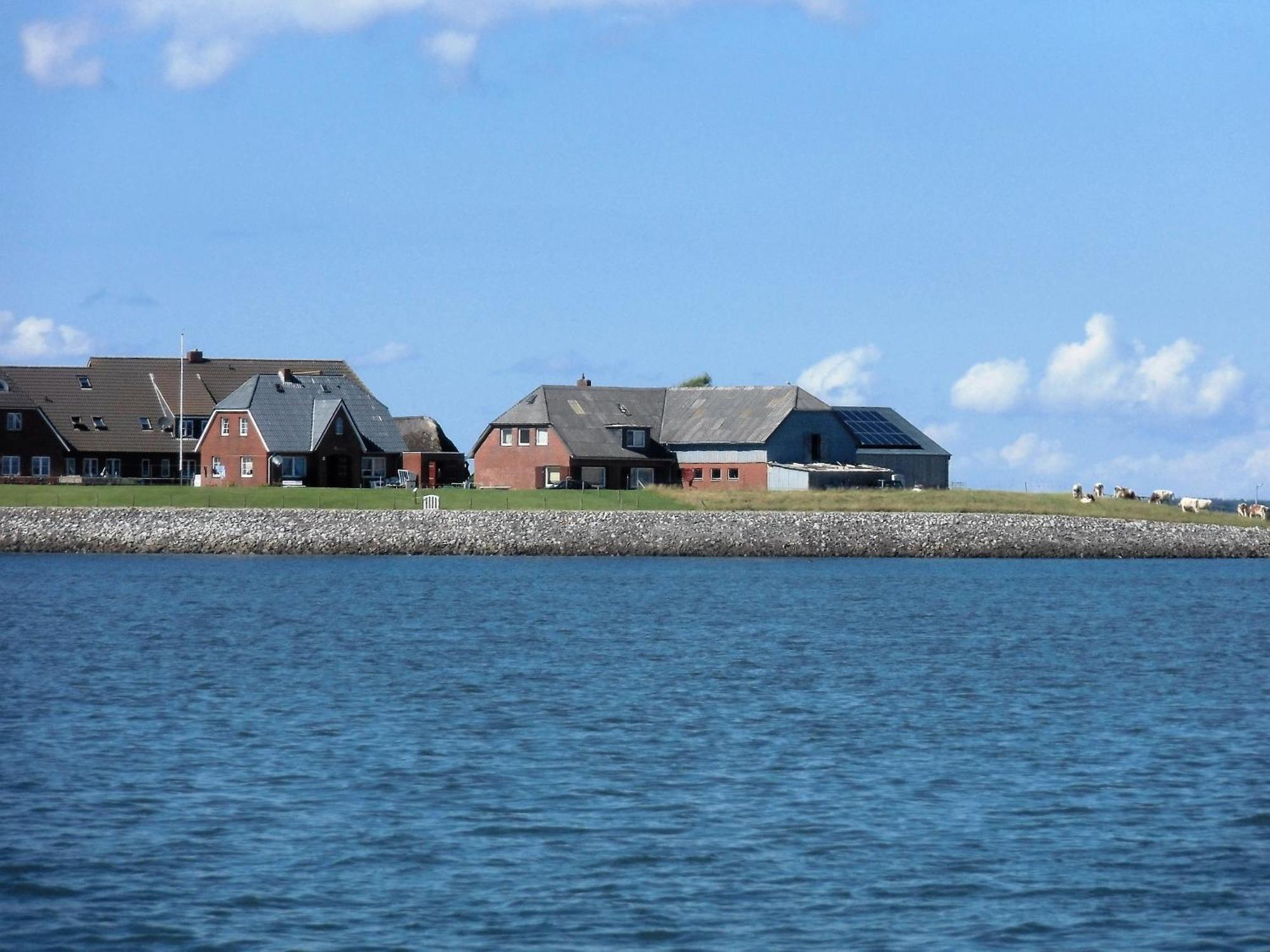 Haus Halligblick, Ferienwohnungen Am Wattenmeer, Whg Hamburger Hallig Dagebüll Buitenkant foto